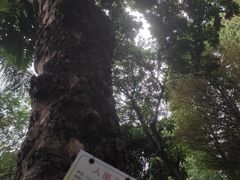 -晓港公园