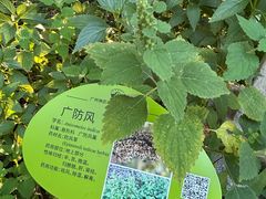 -广州神农草堂中医药博物馆