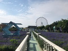 -百万葵园