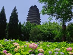 -西安博物院