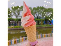 -苏州太湖西山岛开心农场