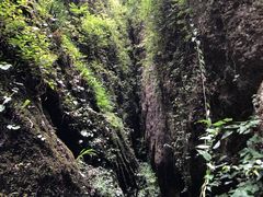 -青城山