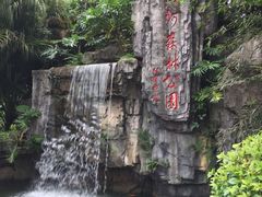 -广州市流溪河国家森林公园