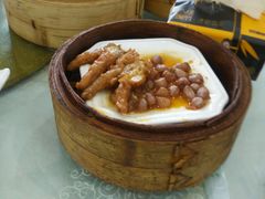 -柳饮·春柳酒家