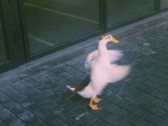 -柯达真美(老重庆中路店)