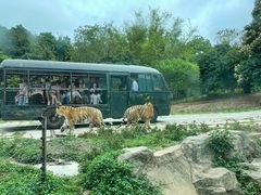 -深圳野生动物园