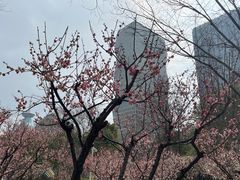 -新虹桥中心花园