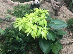 -河川生态园