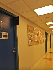 -杭州贝瑞斯美华妇儿医院·早孕·产检·儿科