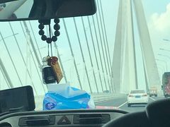 -荷兰花海