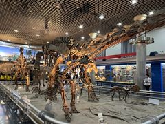 -国家自然博物馆