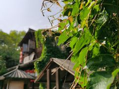 -乌镇景区