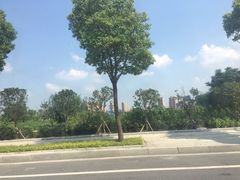 -荆州体育中心-游泳馆