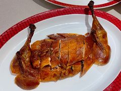 -圆苑(静安寺店)