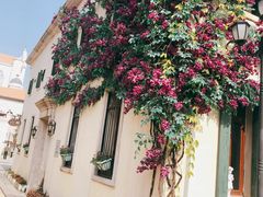 -华谊兄弟（长沙）电影小镇