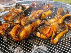 滋补炭烤鳗鱼-本炙炭烤·蒲烧活鳗料理店(金沙洲店)