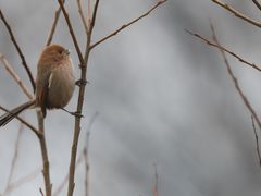 -西湖风景区-江洋畈生态公园
