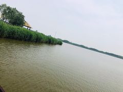 -西青郊野公园