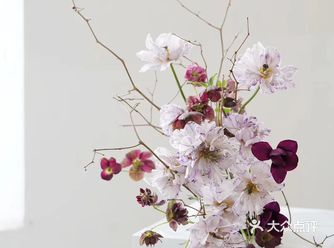 善发觉；敢行动，你的每一天都是别人羡慕的样子