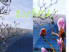 -国家大剧院