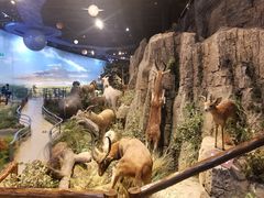 -陕西自然博物馆