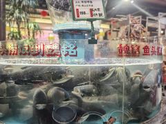 -魏铭鱼头捞饭(晋阳路店)