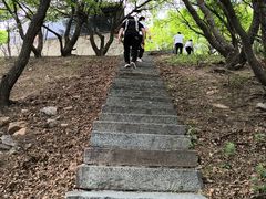 -五龙山