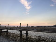 -野狸岛