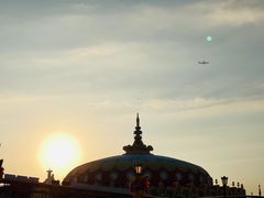 -上海海昌海洋公园