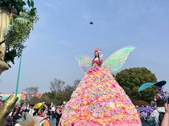 -荷兰花海
