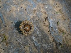 -北京上方山国家森林公园