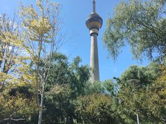 -中央广播电视塔