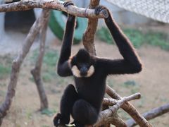 -杭州野生动物世界