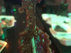 -阿镇烧烤(新桥路店)