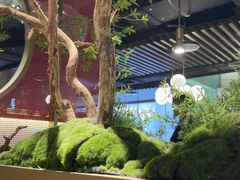 -鲜潭蒸汽石锅鱼(五道口购物中心店)