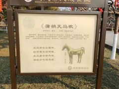 -茂陵博物馆