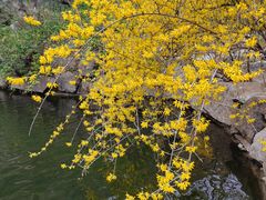 -天津盘山风景名胜区
