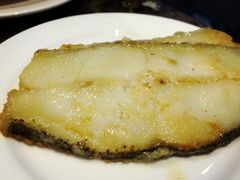-瑞安辰茂阳光酒店自助餐