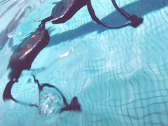 -杨浦温水游泳池