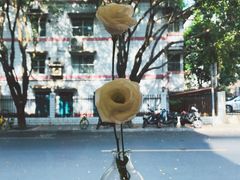 -Seeking Coffee咖啡(新竹路店)
