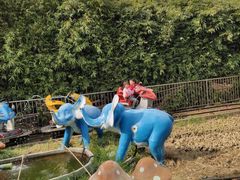 -白塘生态植物园