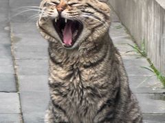 -正阳书局(西四南大街店)