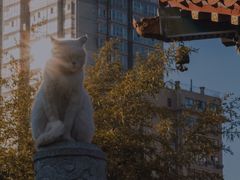 -西安大兴善寺