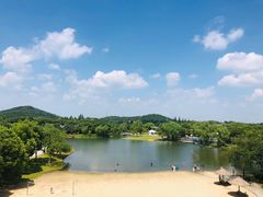 -上海佘山世茂艾美酒店