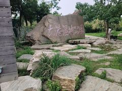 -大港湿地公园