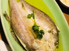 七星海鲈鱼-新白鹿餐厅(城西银泰城店)