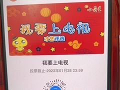 -小荧星艺校(浦东中环分校)