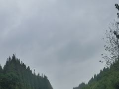 -黄海国家森林公园