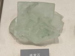 -安徽省地质博物馆
