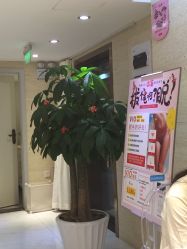 -银座Calla